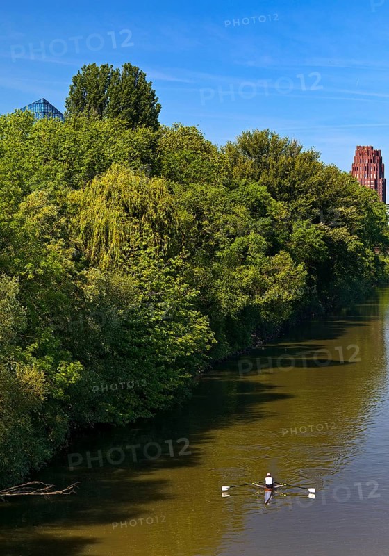 The river Main with a sports boat and the tip of the Main Triangle in Frankfurt-Sachsenhausen, Frankfurt am Main, Hesse, Germany, Europe