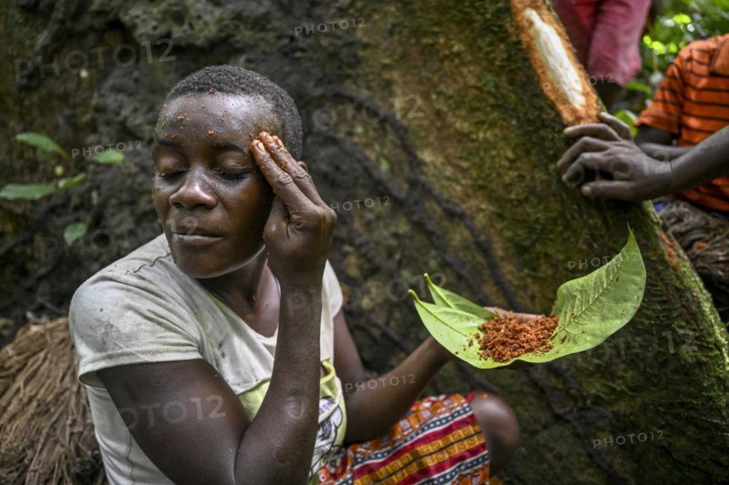 Pygmy woman of the Baka or BaAka people smearing tree bark on her face, cosmetics, Dzanga-Sangha Special Dense Forest Reserve, Sangha-Mbaéré Prefecture, Central African Republic, Africa