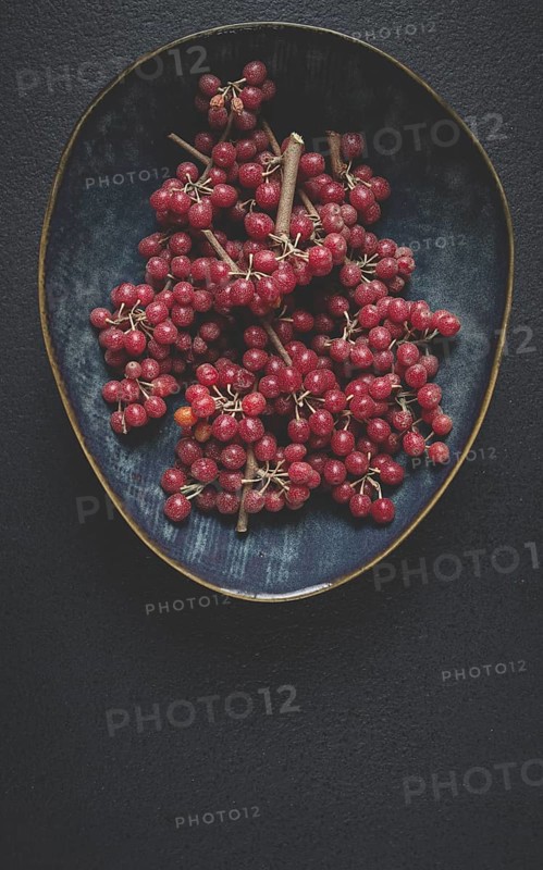 Shtoshi berry, Shepherd's pie, a hybrid of sea buckthorn and barberry, top view, no people