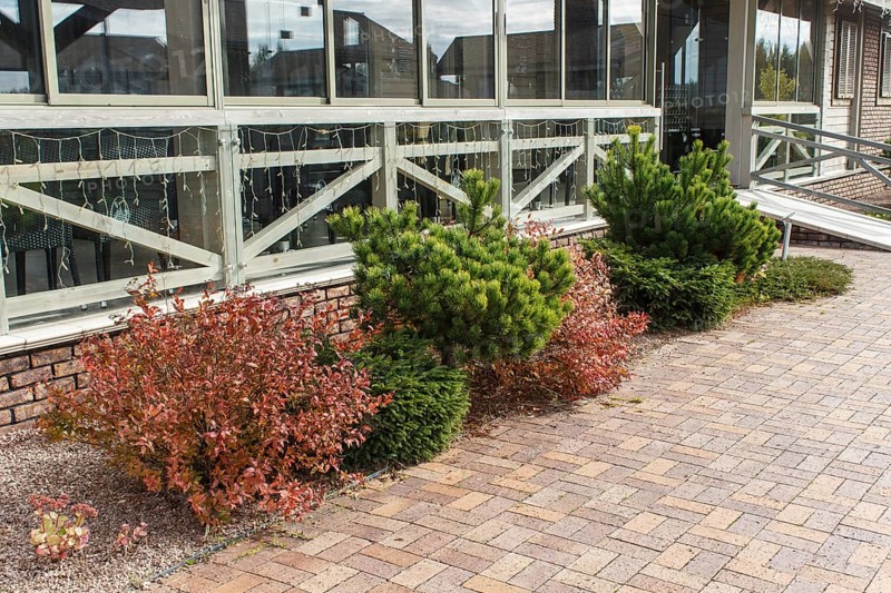 Modern restaurant with green lawn, tile path and landscape design with ornamental grasses and decorative pines
