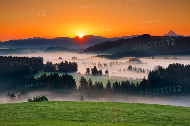 View over the Rothenthurm high moor at sunrise in the canton of Schwyz, Switzerland, Europe