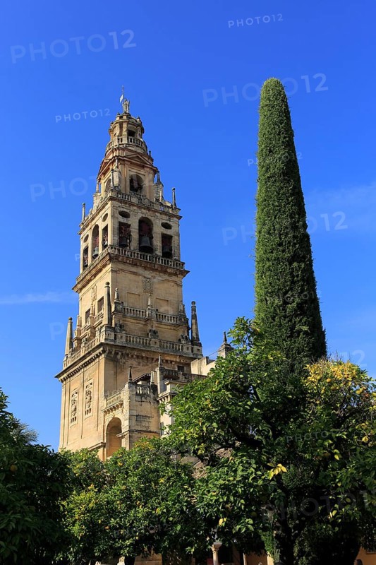 Cathedral belfry bell tower, Toree del Laminar, Great Mosque, Cordoba, Spain, Europe
