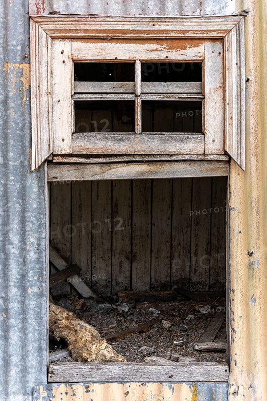 Mummified dog carcass in abandoned chicken coop, Estancia San Gregorio, Puente Alto, Metropolitan Region, Chile, South America