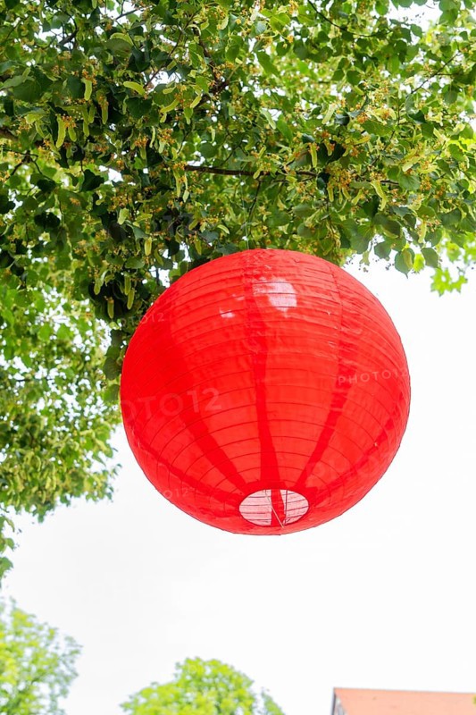 Close-up of a red lantern hanging from a tree in summer, Nagold, Black Forest, Germany, Europe