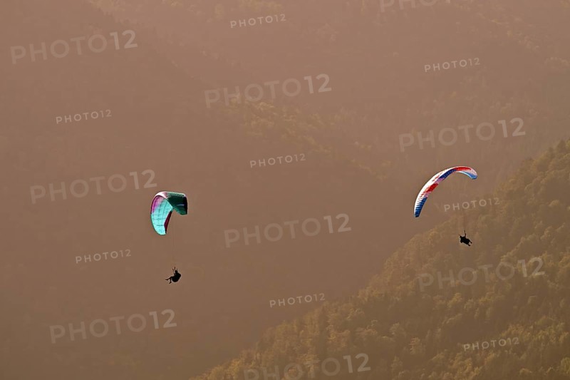 Two paragliders flying over the forest, Alsace, France, Europe