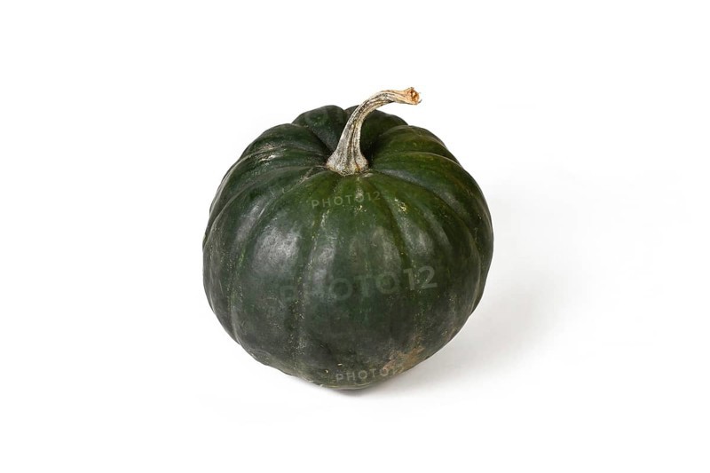 'Black Kat F1' acorn squash with dark green skin on white background
