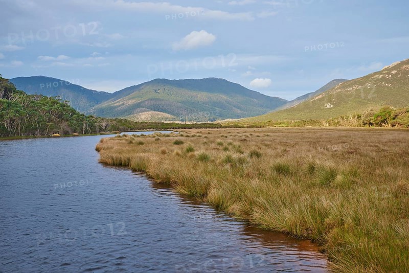 Nature landscape of the Tidal river in spring, Wilsons promontory national park, Australia, Oceania