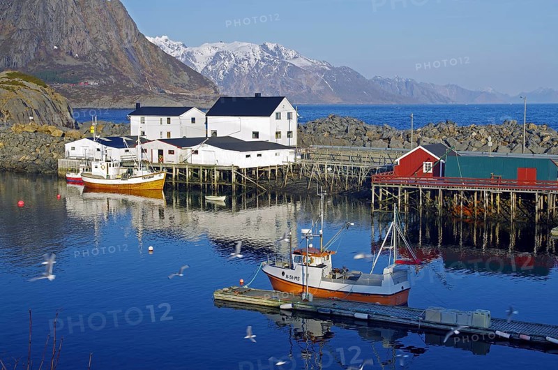 Small harbour with boats, white houses and surrounding mountains reflected in the calm water under a clear sky, Hamnöy, Moskenes, Nordland, Norway, Europe