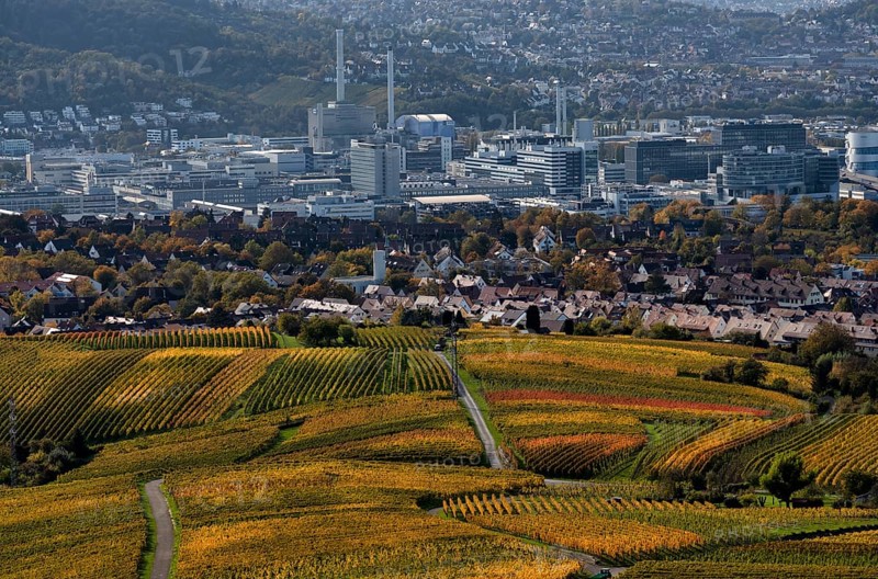 View of Daimler headquarters, Untertürkheim plant, Stuttgart, over vineyard, vines, grapevines, vine cultivation, autumn colours, autumn, Kappelberg, roads, paths, Fellbach, Waiblingen, Baden-Württemberg, Germany, Europe
