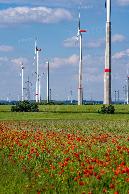 Wind farm, field with flower strips, insect-friendly border of fields with mixed flowers, poppies, north of Marsberg, Hochsauerlandkreis, North Rhine-Westphalia, Germany, Europe