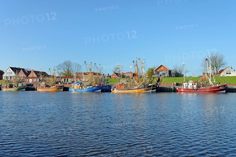 Crab cutter in the harbour of Greetsiel, blue sky, North Sea, Lower Saxony, Germany, Europe