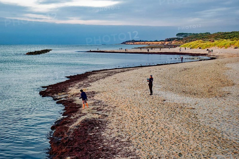 Baltic Sea beach, walkers on the Baltic Sea coast on Wustrow beach in the evening light, evening mood, Baltic seaside resort Wustrow, Fischland-Darß-Zingst peninsula, Mecklenburg-Western Pomerania, Germany, Europe