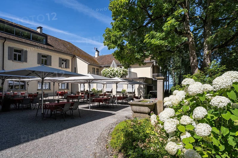 Bistro Louis Napoléon at Arenenberg Castle, Napoleon Museum, Lake Constance, Canton Thurgau, Switzerland, Europe