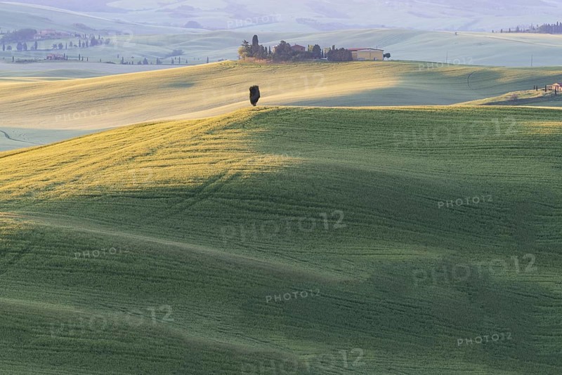 Landscape at sunrise around Pienza, Val d'Orcia, Orcia Valley, UNESCO World Heritage Site, Province of Siena, Tuscany, Italy, Europe