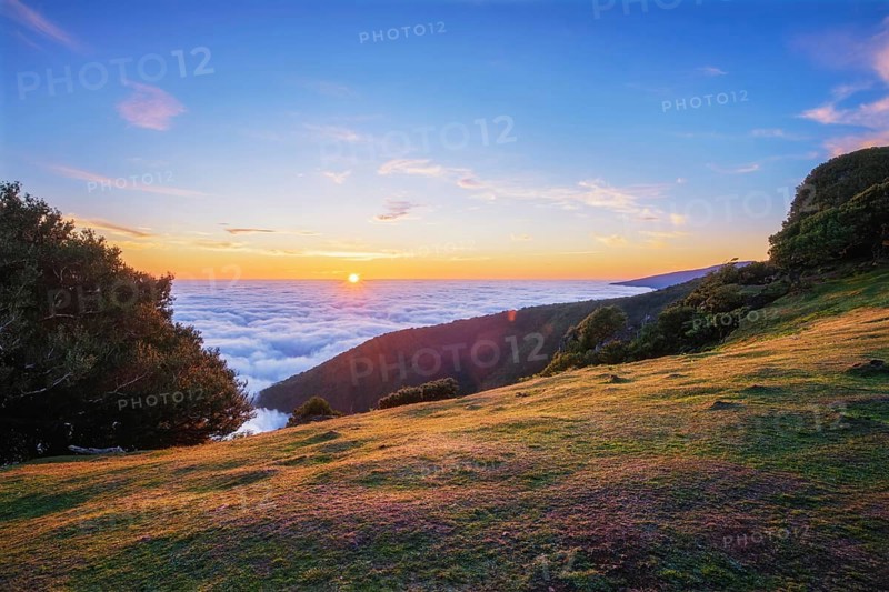 Sunrise above clouds and green hills at Fanal mountain, Madeira island, Portugal, Europe