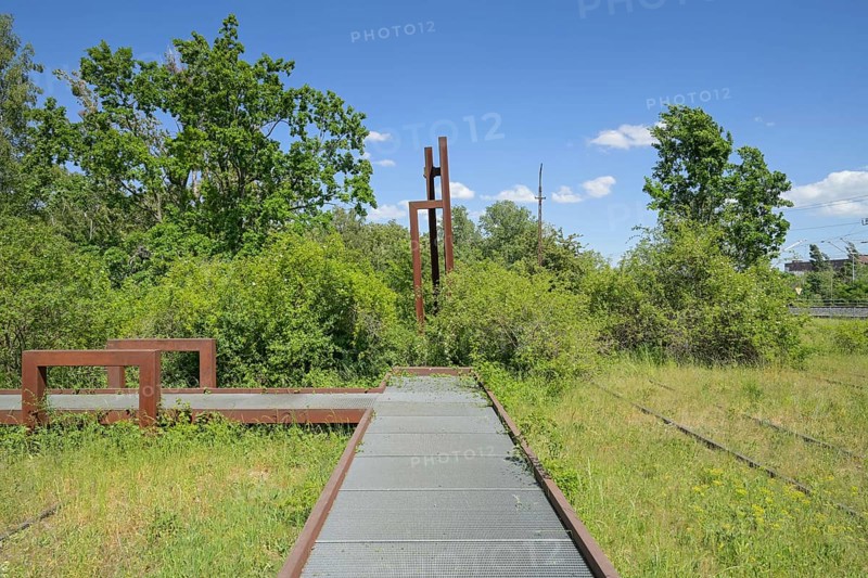 Stegweg, Schöneberger Südgelände Nature Park, Prellerweg, Schöneberg, Berlin, Germany, Europe