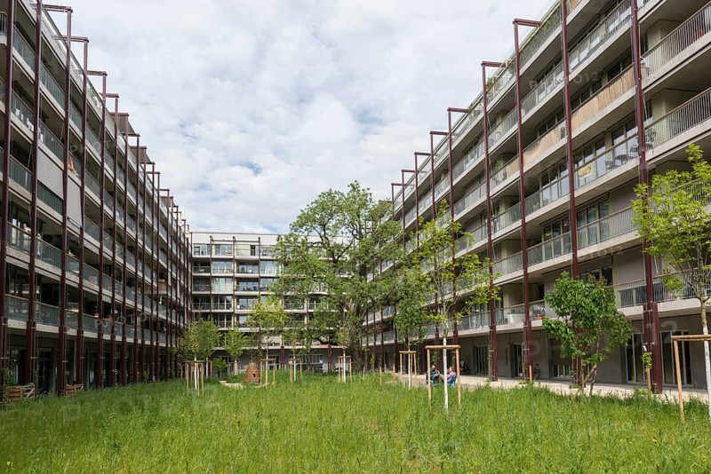 Modern architecture, co-operative, housing co-operative, Westfeld, Basel, Canton of Basel-Stadt, Switzerland, Europe