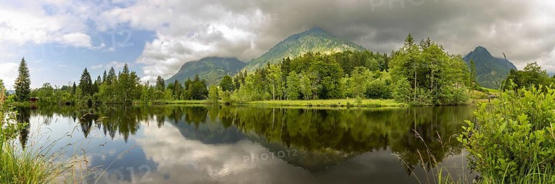 Water reflection in the moor pond, behind it the Schattenberg, near Oberstdorf, Oberallgäu, Allgäu, Bavaria, Germany, Europe