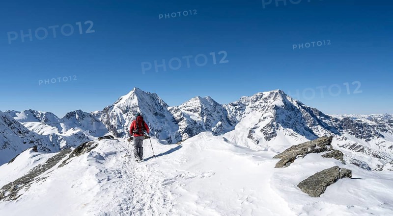 Ski tourers on foot, mountain panorama with snow-covered mountain landscape in winter, view of mountain peaks Königsspitze, Monte Zebru and Ortler, summit of Madritschspitze, Ortler Alps, Vinschgau Valley, Italy, Europe