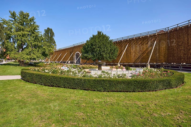 Rose garden spa gardens with trees, hedge, fountain and salt works in Bad Salzuflen, Lippe district, North Rhine-Westphalia, Germany, Europe
