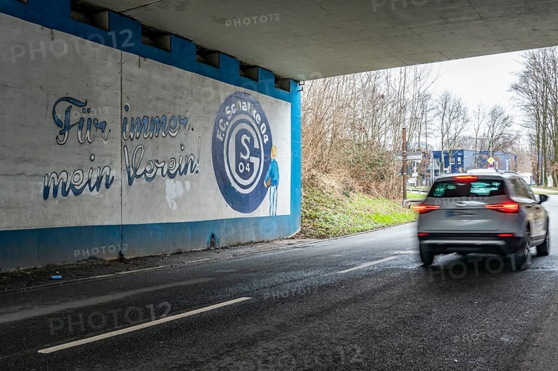 Wall murals, fan paintings of the Bundesliga club FC Schalke 04, at the Schalke stadium, Veltins Arena, road tunnel, in Gelsenkirchen, North Rhine-Westphalia, Germany, Europe