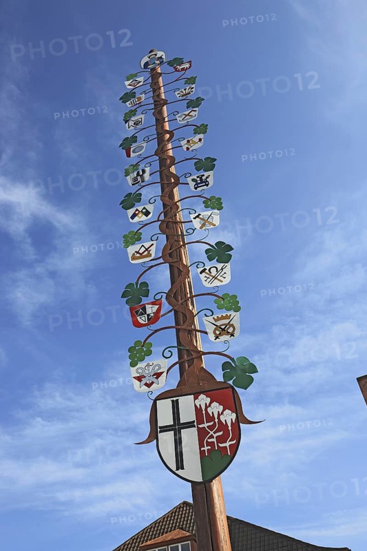 Guild tree of the winegrowers on the market square of Hammelburg, Lower Franconia, Bavaria, Germany, Europe