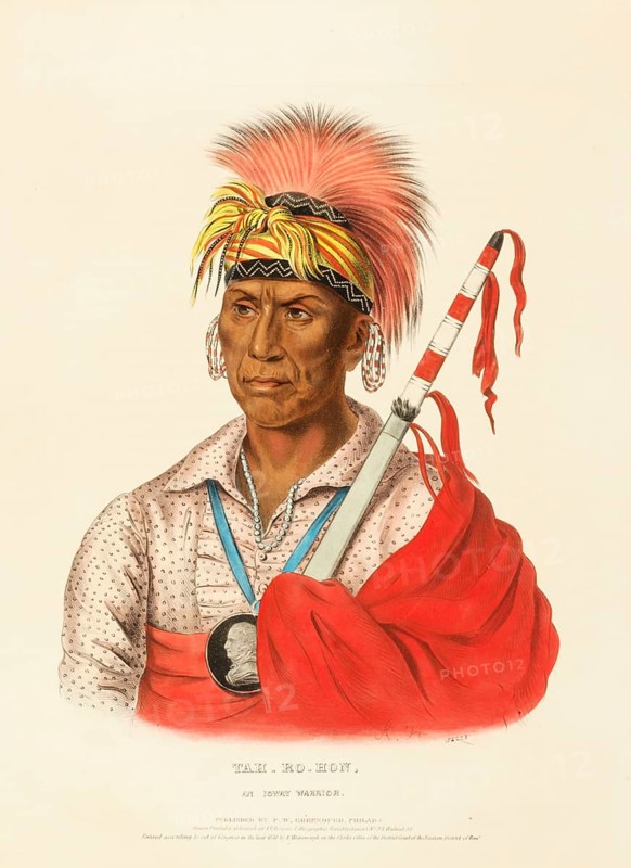 Teh-Ro-Hon, An Ioway Warrior (1838), Native American, Historical Native American tribes from North America, Charles Bird King (1785, 1862), Historical, digitally restored reproduction from a 19th century original, Record date not stated