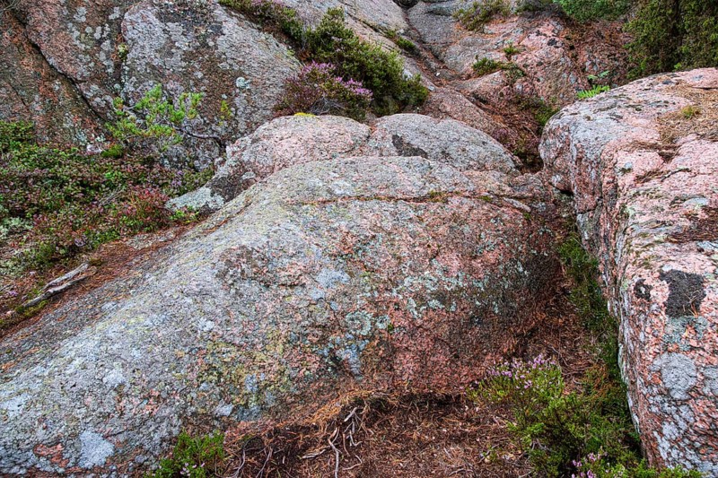 Granite rocks and vegetation on the Blue Maiden (Bla Jungfrun), an island and national park in northern Kalmarsund between Oskarshamn and Öland, Sweden, Europe