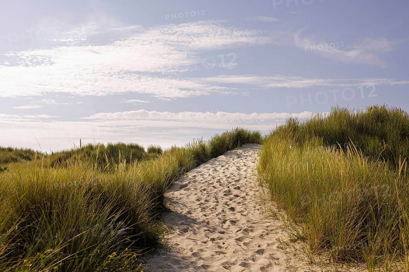 Path in the dunes on Borkum