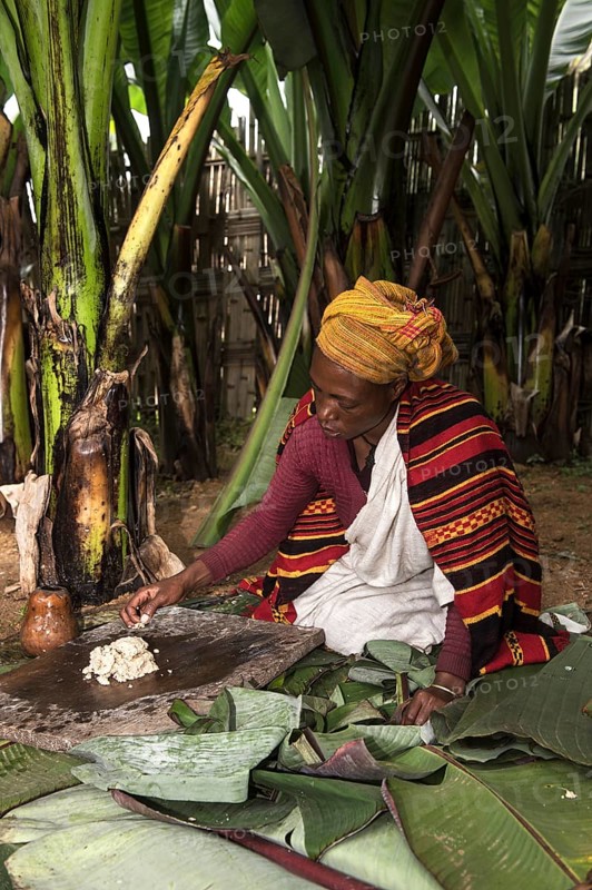 Woman from the Dorze ethnic group preparing Kocho bread dough from Abyssinian banana leaves (Ensete ventricosum), near Arba Minch, southern Ethiopia