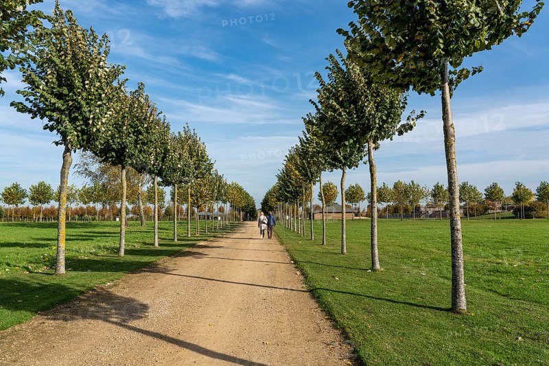 Xanten Archaeological Park, open-air museum on the site of the former Roman city of Colonia Ulpia Traiana, tree-lined avenues show the former course of the road, North Rhine-Westphalia, Germany, Europe