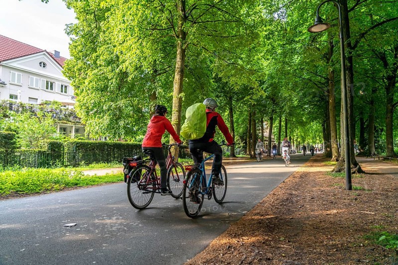 Promenade cycle path, tree-lined, car-free, approximately 4.5 km long ring road around the city centre of Münster, North Rhine-Westphalia, Germany, Europe