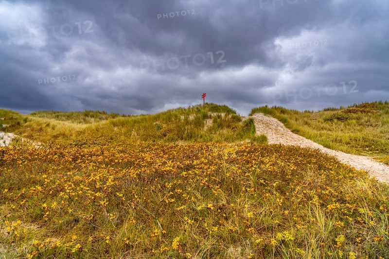 North Sea island of Spiekeroog, East Frisia, Lower Saxony, Germany, Dune crossing on the west coast, Europe