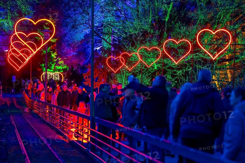Parkleuchten, event in winter, in the Grugapark in Essen, many different light installations, across the park, attract many thousands of visitors, North Rhine-Westphalia, Germany, Europe