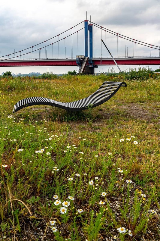 Mercatorinsel, between the Rhine and the harbour canal in Duisburg-Ruhrort, Friedrich-Ebert-Brücke, sun lounger on a flower meadow, former harbour area, Duisburg, North Rhine-Westphalia, Germany, Europe