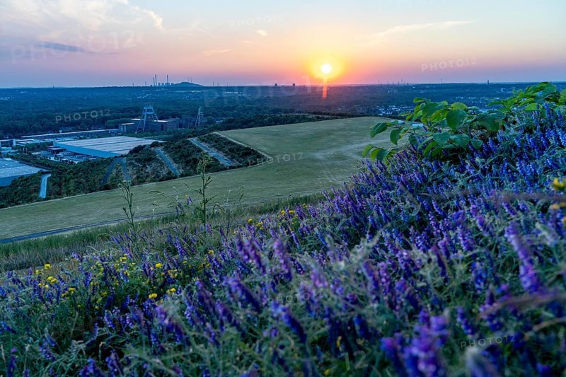 View from the Hoheward spoil tip, at sunset, to the west, Ewald mine, UNIPER Scholven combined heat and power plant, North Rhine-Westphalia, Germany, Europe