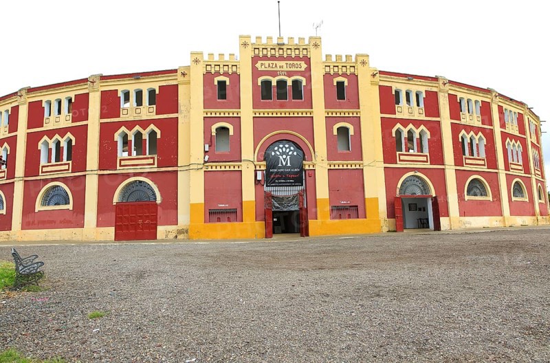 Plaza de Toros bullring built 1914, Merida, Extremadura, Spain, Europe