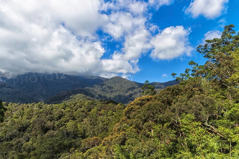 Mountains with jungle and cloudy sky. Malaysia