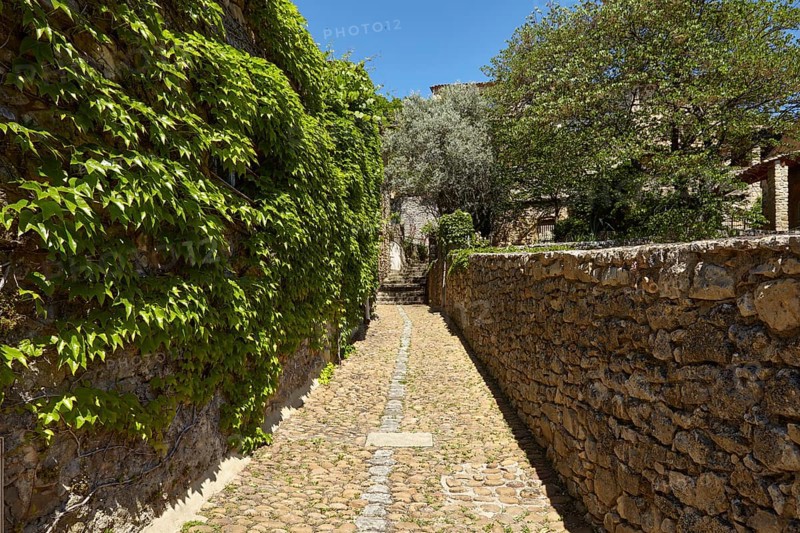 Path with steps and walls with tricuspid vine (Parthenocissus tricuspidata) in La Roque-sur-Cèze, Gard department, Occitanie region, France, Europe