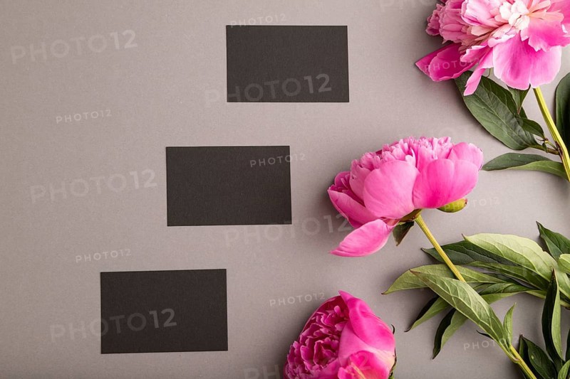 Black business card with pink peony flowers on gray pastel background. top view, flat lay, copy space, still life. Breakfast, morning, spring concept