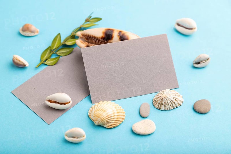 Composition with gray paper business cards, seashells, green boxwood. mockup on blue pastel background. Blank, side view, still life, copy space. travel concept