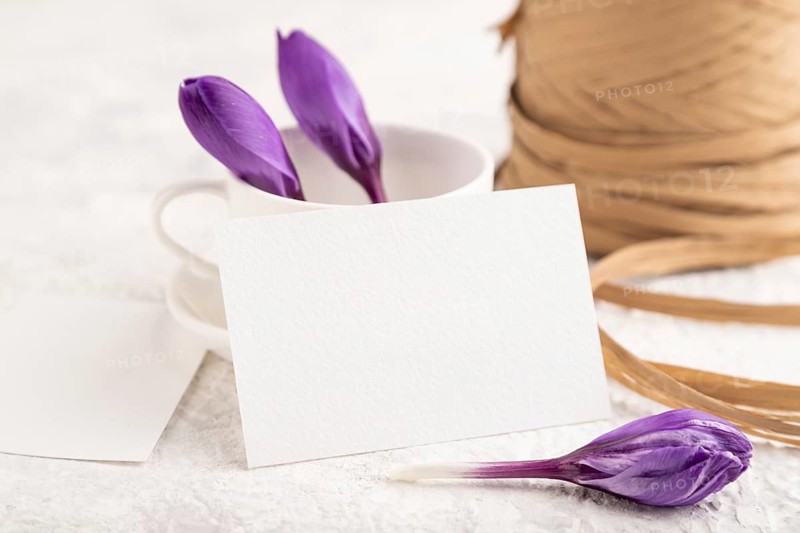 White paper invitation card, mockup with purple crocus snowdrop flowers on gray concrete background. Blank, side view, still life, copy space, wedding invitation