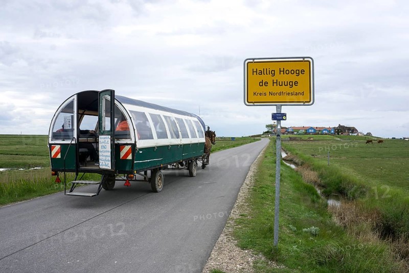 Carriage with tourists on the Hallig Hooge, 24.05.2021