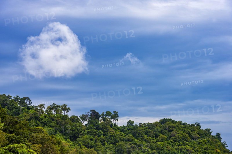 Cloud formations on Ko Rok Yai, cloud, weather, beautiful weather, shape, cloud shape, sky, blue sky, physics, rainforest, nature, natural spectacle, cloud image, cloud formation, force of nature, climate, climate change, climatic, tropical, blue, summer, green, ecology, ecological, Thailand, Asia