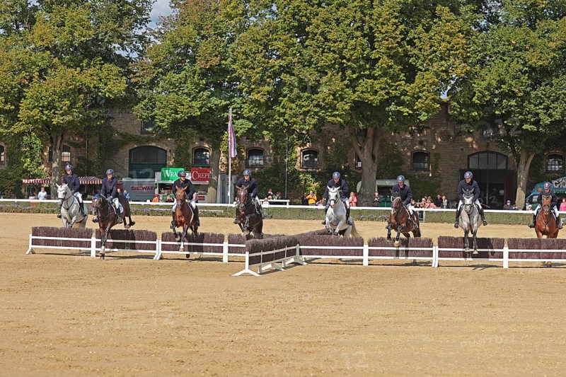 Warendorf State Stud, stallion parade, jumping quadrille