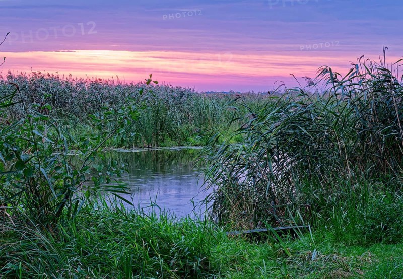 Fishing boat on a branch of the Narew in the Narew National Park in north-east Poland. Waniewo, Podlaskie, Poland, Europe
