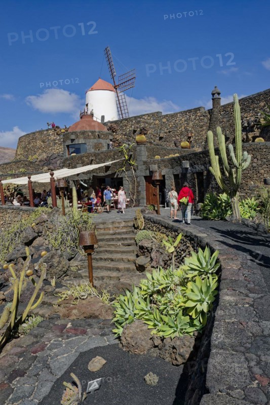 Cactus garden, Jardin de Cactus, designed by the artist César Manrique, behind the restored gofio mill, Lanzarote, Canary Islands, Canary Islands, Spain, Europe