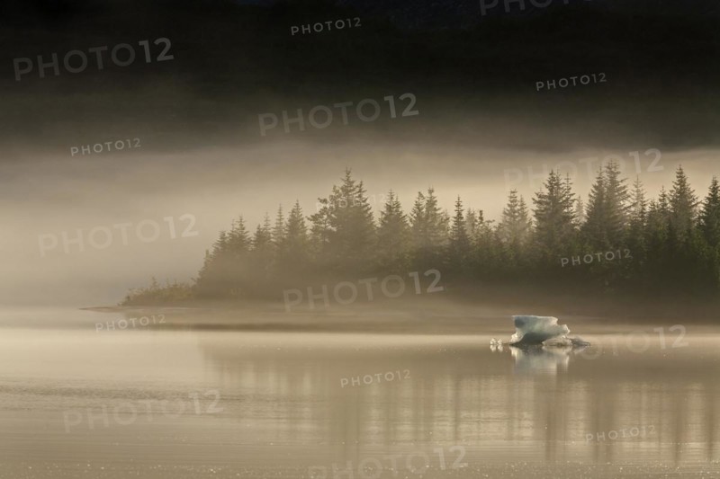 Ice floe floating on a glacial lake, fog, morning mood, Juneau, Southeast Alaska, Alaska, USA, North America