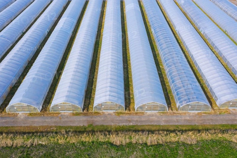 Aerial view over polytunnels, grow tunnels for intensive cultivation of vegetables for season extension and to allow cold-hardy crops to overwinter