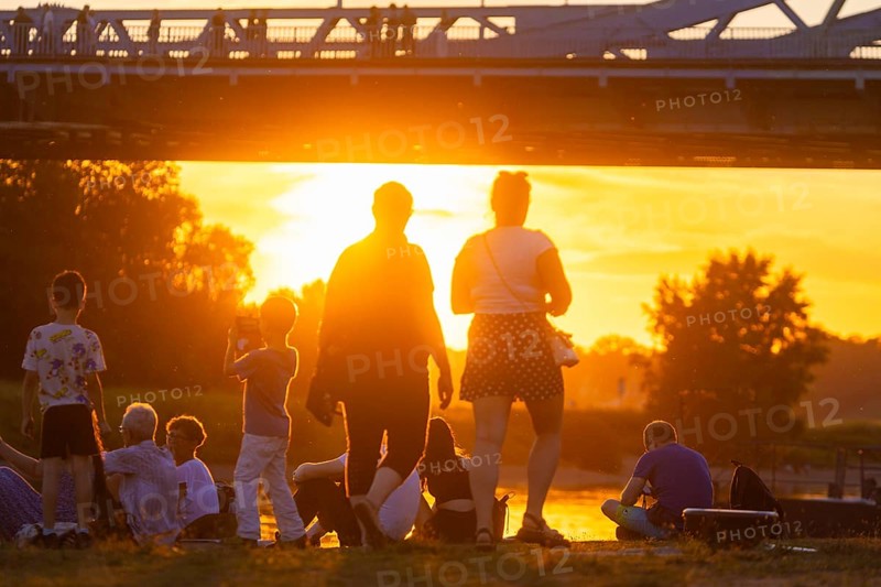 Summer evening at the Blue Wonder on the Elbe, Dresden Loschwitz, Dresden, Saxony, Germany, Europe